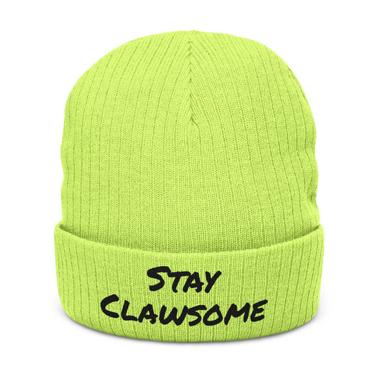 Stay Clawsome Ribbed Knit Beanie, Winter Hat